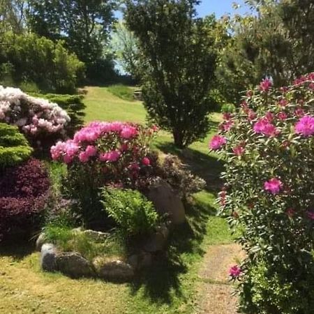Bjergby Bed & Breakfast Bed and Breakfast Hjørring Buitenkant foto